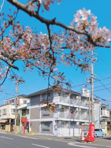 【インターネット無料】鴨川沿いの京都を感じる立地です♪